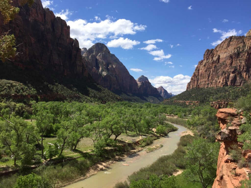 A view of the canyon at Zion National Park